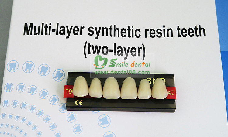 SDT-R203 Two Layer Acrylic Resin Teeth